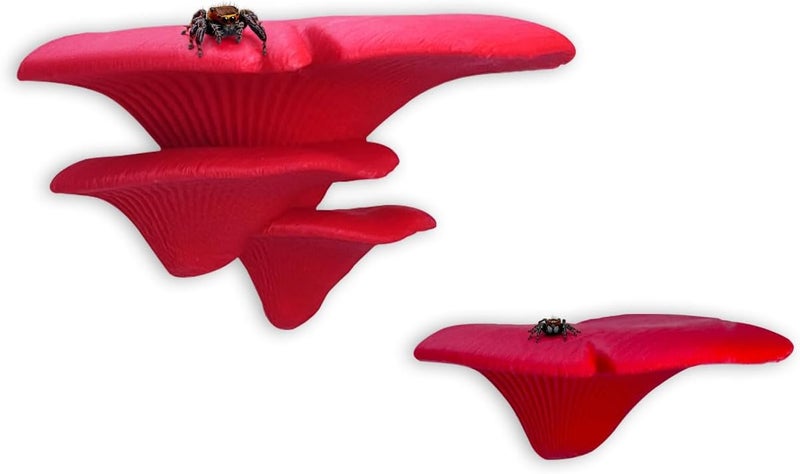 Daerky Jumping Spider Mushroom Shelf, Magnetically Concealed Jumping Spider Habitat,Serves As Enclosure Decorate Accessories for Spider Climbing Feeding and Platforms (Red) - Image 1